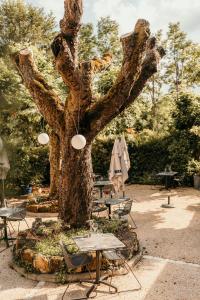 Hotels Hotel Le Cro-Magnon : photos des chambres