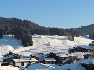 Chalet cosy près du centre, Wifi, Parking, 6 pers. - FR-1-598-16