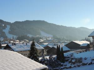 Chalet cosy près du centre, Wifi, Parking, 6 pers. - FR-1-598-16