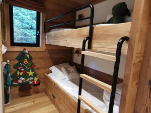 Appart Ski aux Pieds au Centre des Gets - 8 Pers. - FR-1-598-28