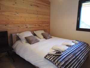 T3 aux Gets, vue sur pistes - FR-1-598-5