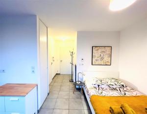 Appartements Le Bellevue a 10min du centre a pied : photos des chambres