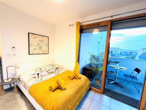 Appartements Le Bellevue a 10min du centre a pied : photos des chambres