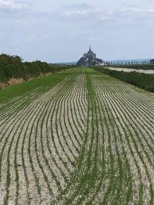 Maisons de vacances Rozeliande : photos des chambres