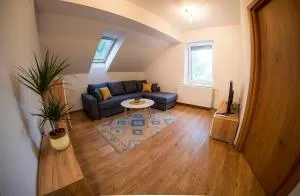 Petlov salaš rooms - Ledinci