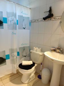 cabañas Te Pito Kura