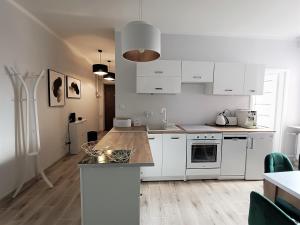 Szmaragdowy apartament przy ulicy Opolskiej