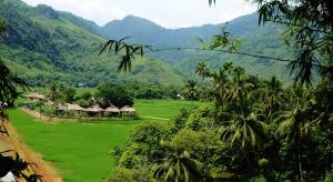 Mai Chau Villas