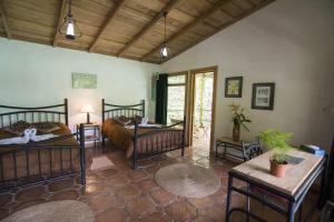 Bosque de Paz Reserva Biologica