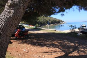 Apartments by the sea Cove Merascica, Cres - 8071