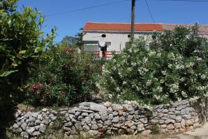 Apartments with parking space Veli Losinj, Losinj - 8060