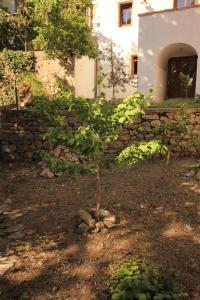 Holiday house with WiFi Mali Losinj (Losinj) - 8014