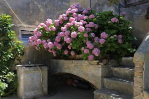 Apartments with a parking space Mali Losinj (Losinj) - 8059