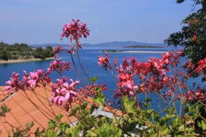 Apartments by the sea Zaglav, Dugi otok - 8191