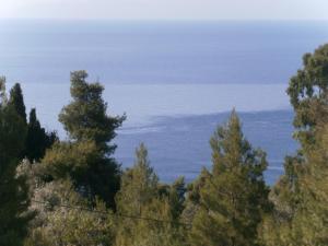 Pelagos Skopelos Greece