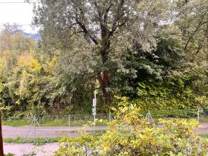 Haus Blang Einzelzimmer