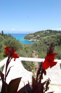 Kanoni Beach Apartments Paxoi Greece