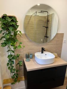 Appartements Appartement moderne en plein centre D'Epernay : Appartement 1 Chambre