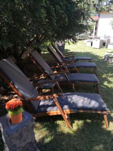 Caissa - an old country lady in a new modern dress 