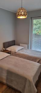 Apartament 3 pokojowy z tarasem
