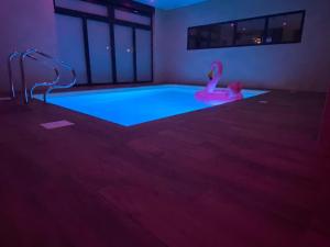 Appartements Loft Spa Reims-fr 250m2 privatifs, piscine interieure chauffee, spa et parking : photos des chambres