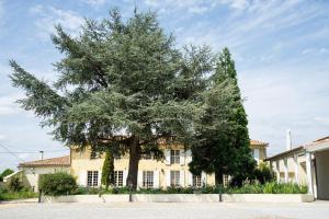 B&B / Chambres d'hotes Chateau Haut-Brisson : photos des chambres