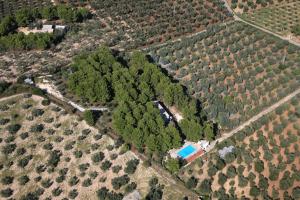 Residence San Luca Vieste