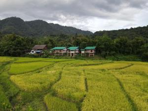 นากลางดอย Naklangdoi
