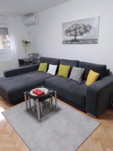 APARTMAN DD