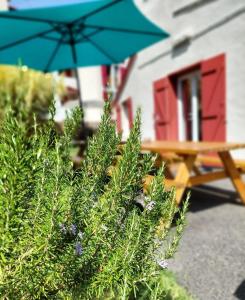 Auberges de jeunesse GARDEN - Utopy Hostel : photos des chambres