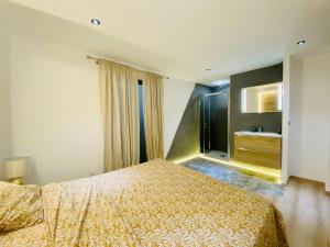 Appartements Duplex 120m2 terrasse vue sur Nimes : photos des chambres