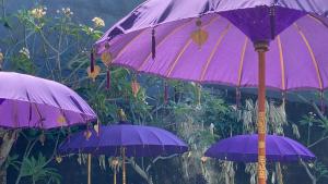 Teratai Boutique Resort