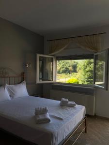 Guesthouse Anestis