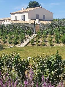 Maisons de vacances Onze Villa in Provence, Mont Ventoux, New Luxury Villa, Private Pool, Stunning views, Outdoor Kitchen, Big Green Egg : photos des chambres