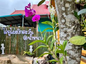 บ้านภูไผ่ ไร่ภูไผ่เบิกตะวัน