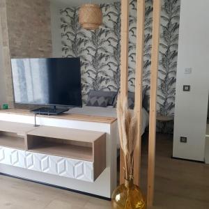 Appartements Studio calme-equipements haut de gamme : photos des chambres