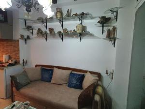 Apartment per day Stone house Djakonovic STAN NA DAN