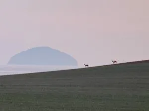 Turnberry Holiday Park fantastic Seaview - Colmonell