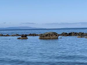 Turnberry Holiday Park fantastic Seaview