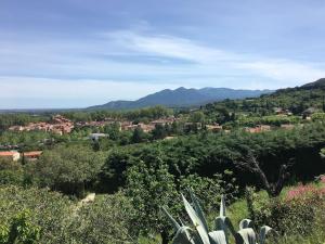 Appartements Au coeur de ville avec terrasse : photos des chambres