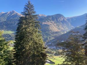 CHALET Sophie & Max in Bad Gastein