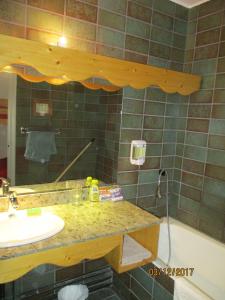 Appartements Apartment in Font-Romeu, near ski elevators : Appartement 1 Chambre