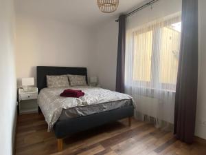 Apartament Jagiełły