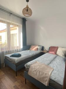 Apartament Jagiełły