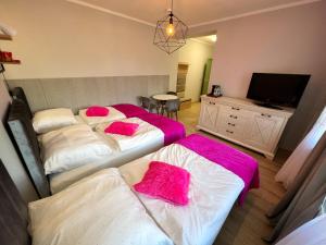 Pokoje Pod Mniszkiem