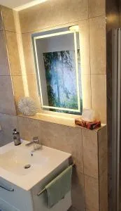 Ferienwohnungen an der Schloßruine - Herbsleben