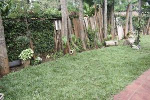 A peaceful and lovely 1 bedroom vacation Dinas little home