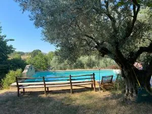 GITE COCOTTE - Sigonce