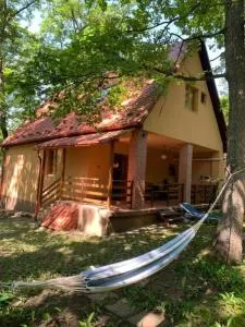 Gyöngyvirág Vendégház - 上塔尔卡尼