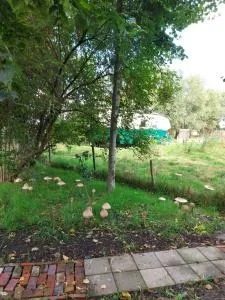 Bij grenspaal 243 - Wouwsche Plantage